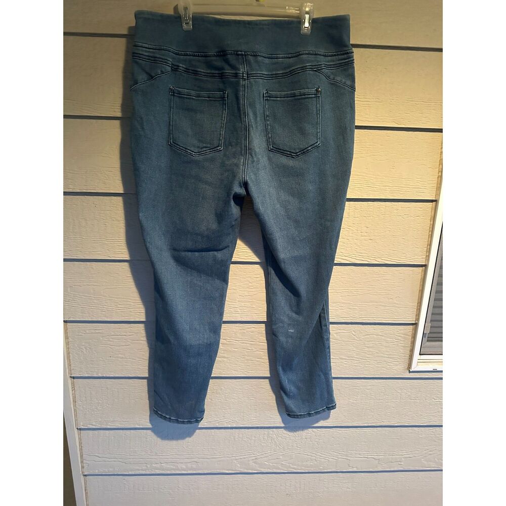 DG2 by Diane Gilman Pull On Skinny Jegging Jeans Denim Blue Womens Size 1X XL